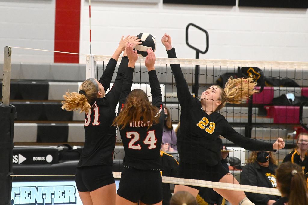 Homer-Center advances in volleyball playoffs